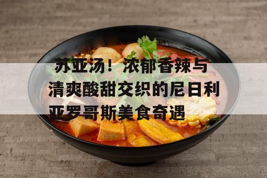  苏亚汤！浓郁香辣与清爽酸甜交织的尼日利亚罗哥斯美食奇遇