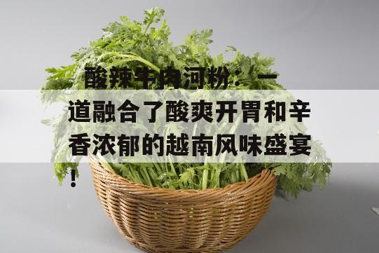   酸辣牛肉河粉：一道融合了酸爽开胃和辛香浓郁的越南风味盛宴！